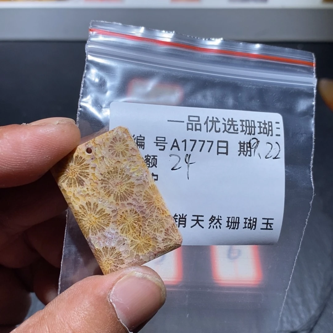 硅化珊瑚（珊瑚玉）颈饰未镶嵌那*?1777