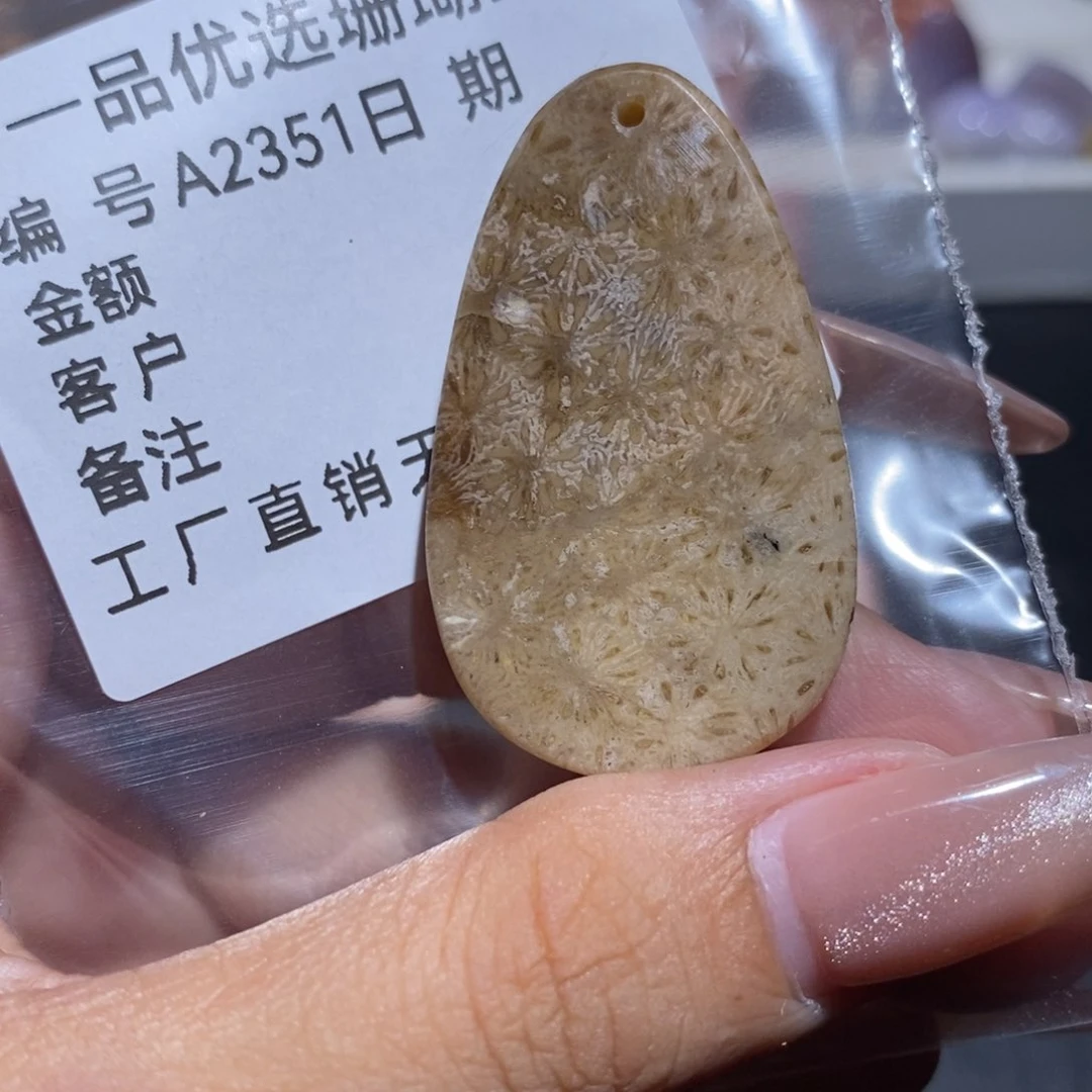 硅化珊瑚（珊瑚玉）颈饰合金灯***_2351