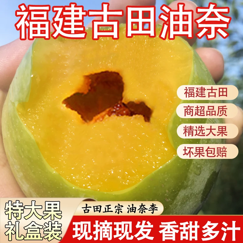 【现摘】正宗古田油奈青奈空心蜂糖李桃形李大果脆甜当季新鲜水果