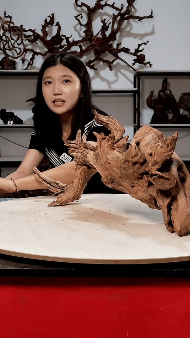 【闪购商品】香榧木331清香阁清香阁清香阁