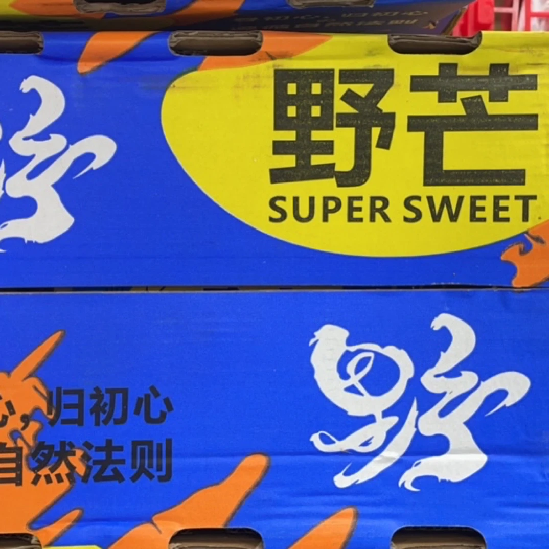 野芒桂七芒一箱