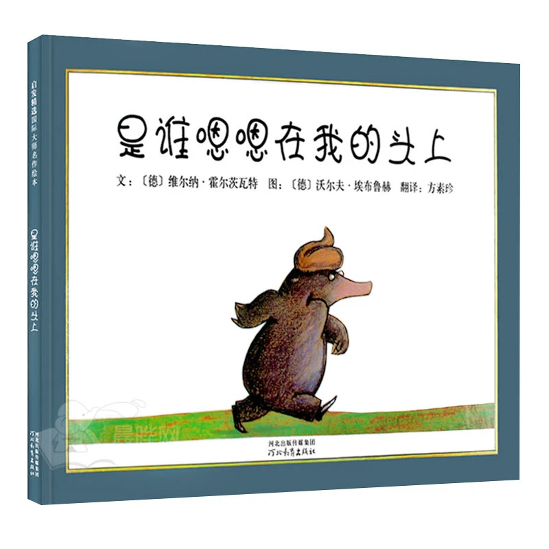 硬壳 是谁嗯嗯在我的头上幼儿园3-6岁经典绘本推荐 0-2岁宝宝绘本
