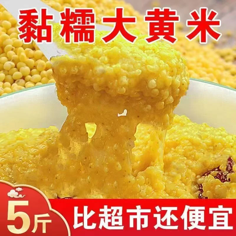 24年新米东北粘糯大黄米精选大黄米农家杂粮粘黄米