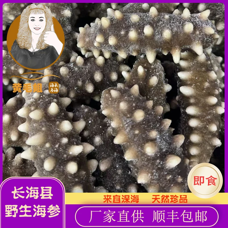 冻参福利即食海参9-10大连海岛深海白刺参