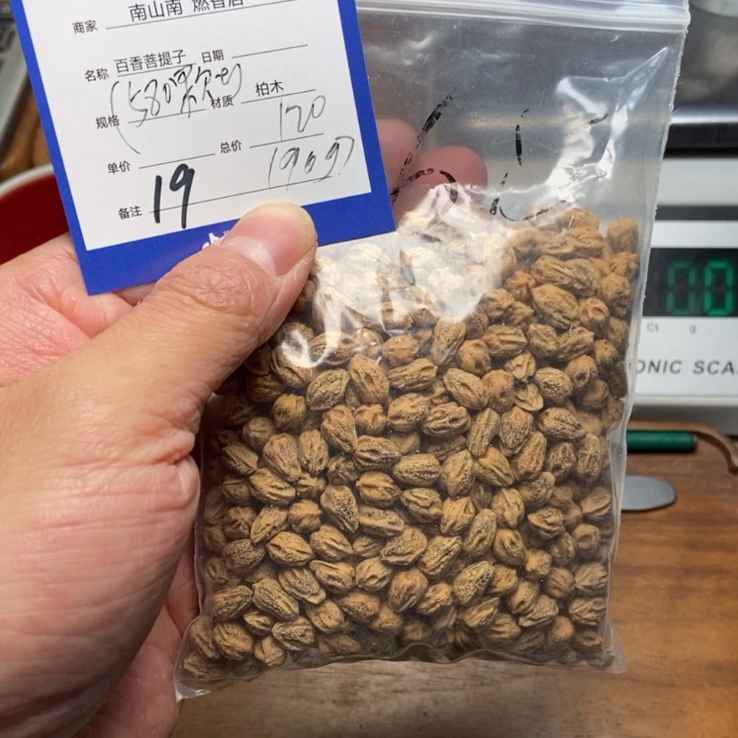 【闪购商品】柏香籽/百香籽吊坠世****团