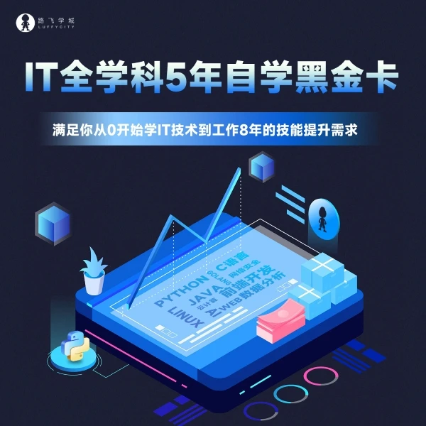 路飞学城IT全学科5年编程自学黑金课