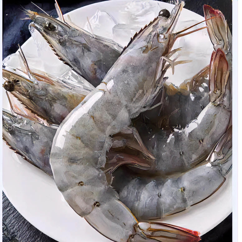 海水盐冻大虾3040新鲜冷冻