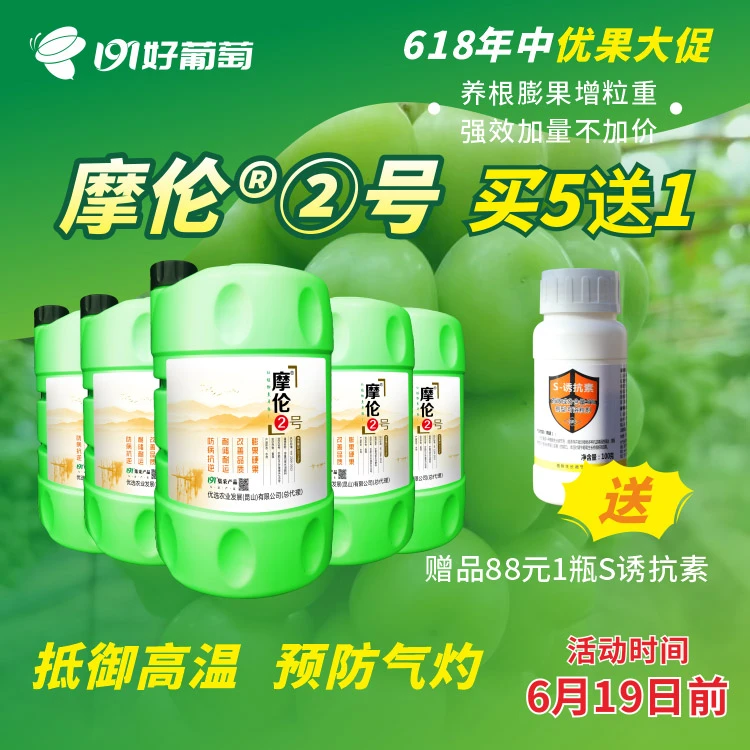 618满赠丨摩伦②号糖肽螯合钙镁 蒸腾调控因子 降低日烧气灼风险