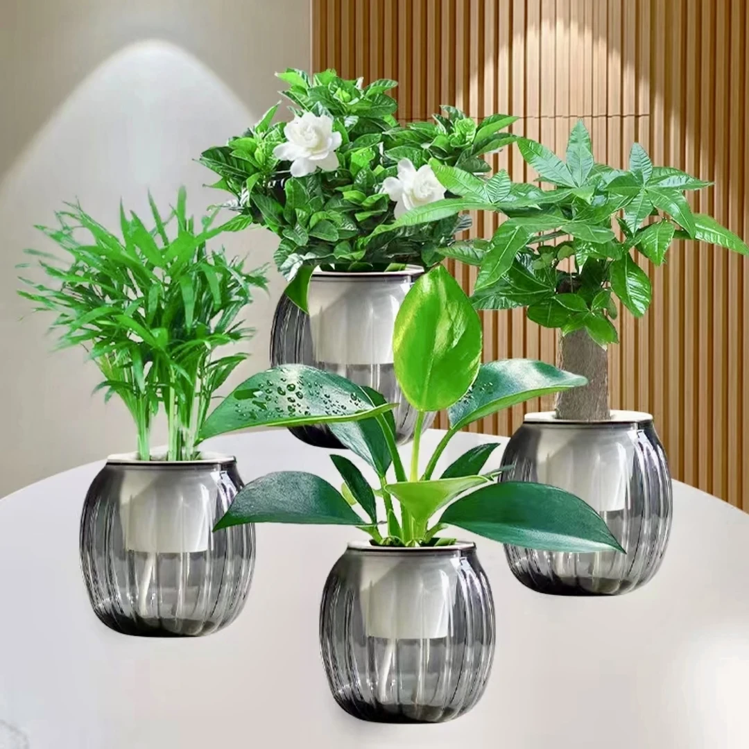 水培绿植四件套栀子花发财树富贵椰子金钻室内好养懒人桌面盆栽