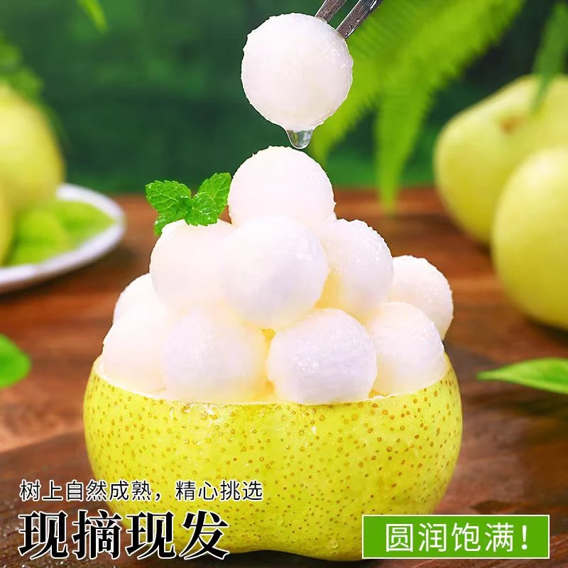 【砀山梨】安徽正宗砀山酥梨新鲜水果酥脆甜入口化渣秋季必备