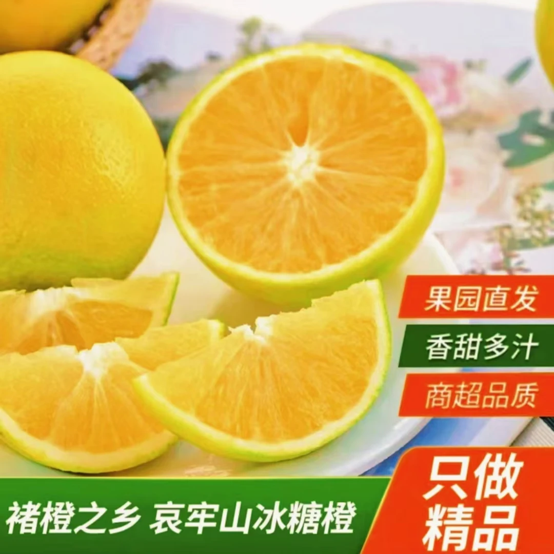 云南哀牢山冰糖橙皮薄肉厚汁水充足应季水果新鲜采摘4.5斤手剥橙