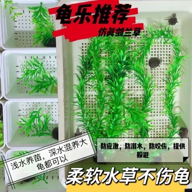 乌龟专用草鱼苗龟苗躲避防应激防溺水咬伤假水草仿真水草造景装饰
