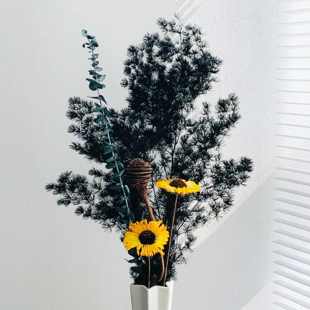 双十一开播福利【黑祺】干花永生花混搭花束含瓶包邮永生蓬莱松