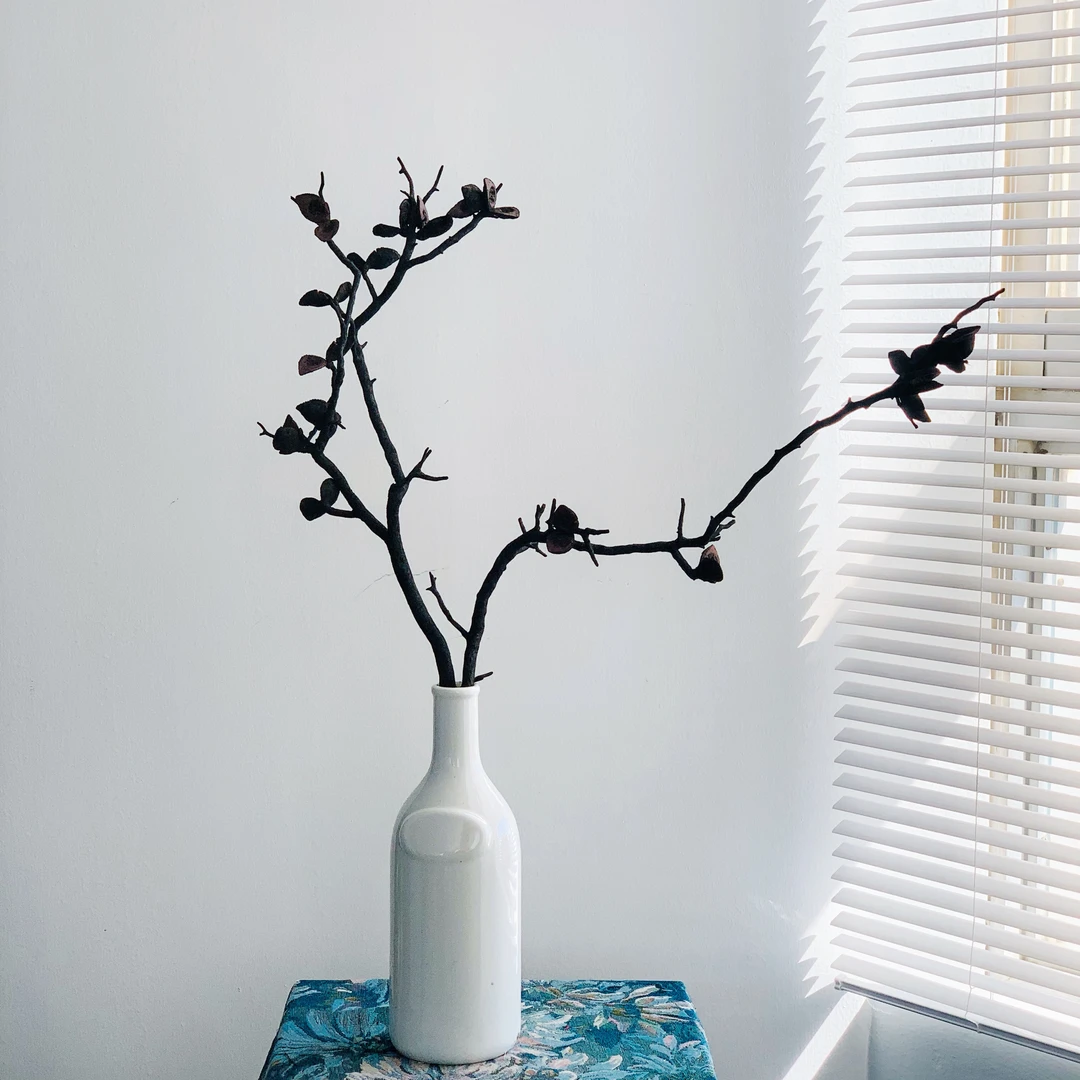 新年福利【哈克木火烧】干花含瓶包邮一套岔寂风