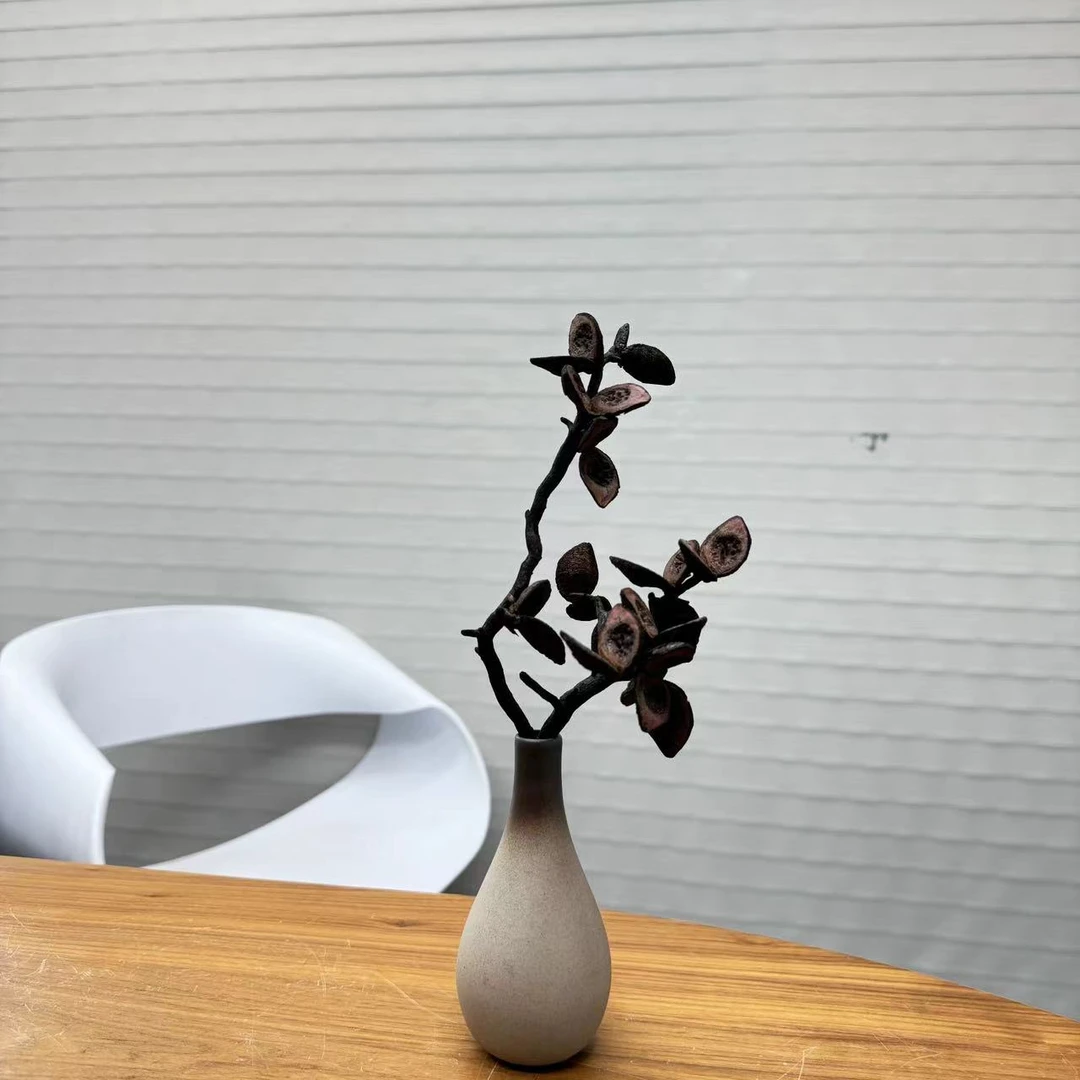 开播福利【灵感】干花永生花含瓶包邮（形状随机）
