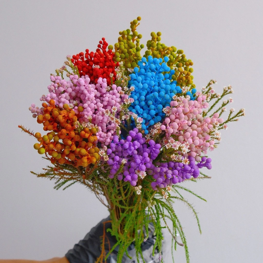 【珊语】 小花椒果进口鲜花花束1把（颜色随机）