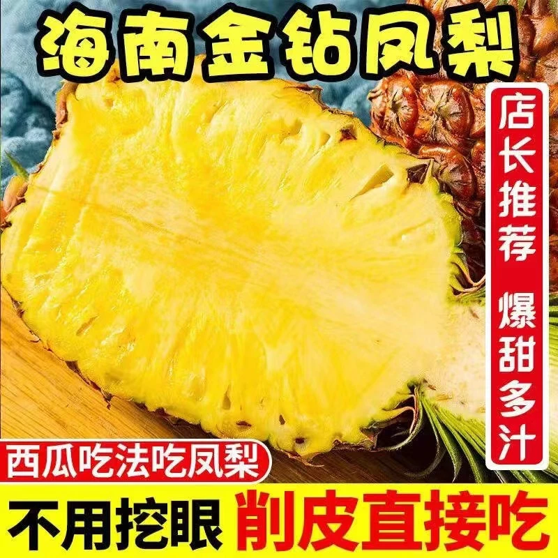 【顺丰包邮】正宗海南金钻凤梨中果自然熟产地现采现发坏果包赔新鲜