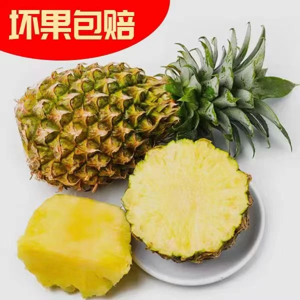 正宗海南金钻凤梨3个精品大果5斤礼盒装现摘应季鲜果坏果包赔