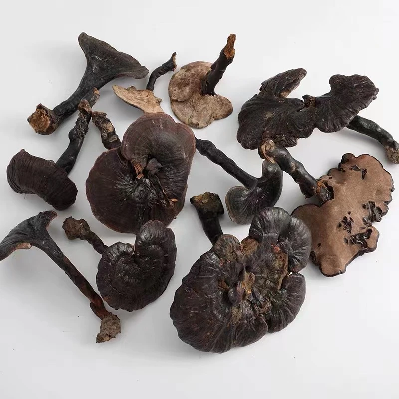 【助农专享】云南深山山秀500克包邮