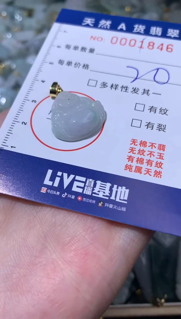 【闪购商品】翡翠颈饰未镶嵌00001846