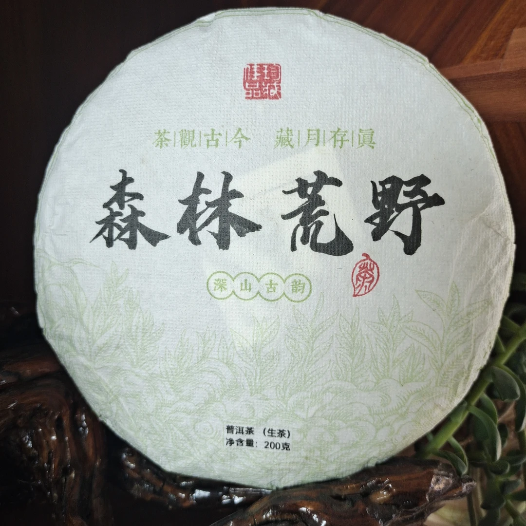 【森林荒野】大雪山，高海拔，生态好，山野气韵足。