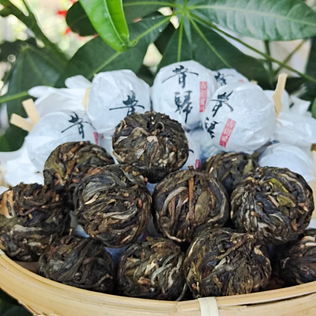 【忙麓山】昔归核心区龙珠10颗，兰香鲜爽度高，茶气足，茶汤醇厚!