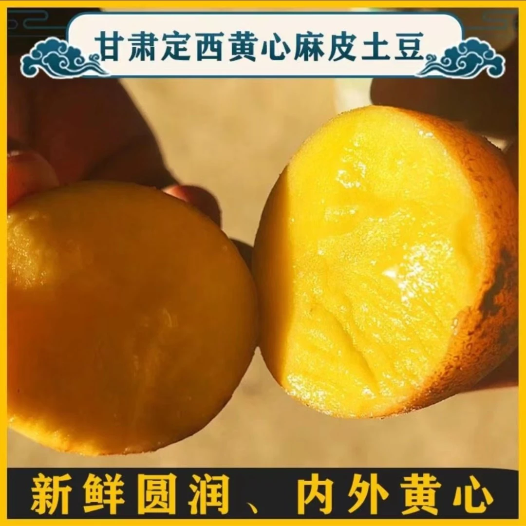 黄介湖新鲜现挖甘肃定西黄皮黄心土豆高原洋芋旱沙地马铃薯包邮