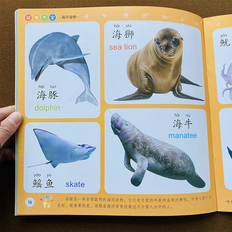 认识动物大全书幼儿园早教启蒙认知学前儿童绘本图画书小中大班书