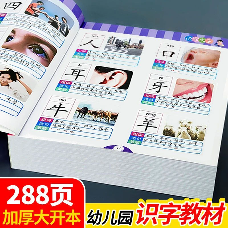 识字大王全书幼儿园启蒙有声看图认早教中大班一年级34-6岁3000字