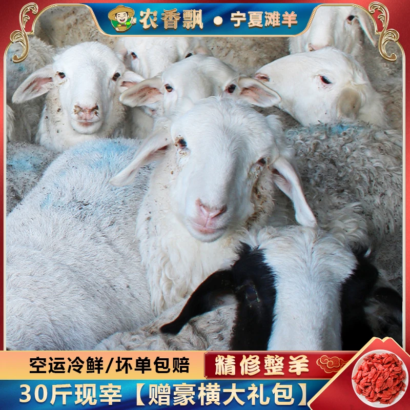 农香飘30斤宁夏盐池滩羊肉新鲜整只现杀全羊清真清炖烧烤全羊肉