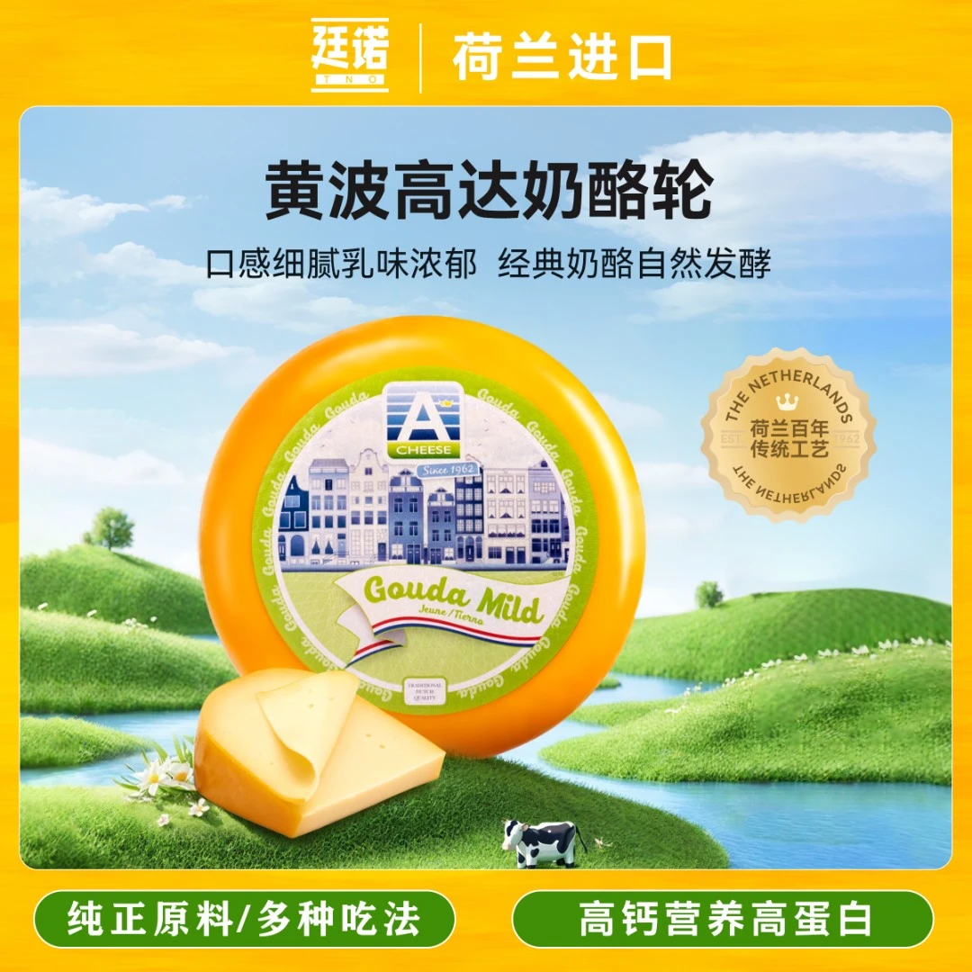 廷诺荷兰进口Gouda高达黄波奶酪整轮烘焙专用即食芝士块原制干酪