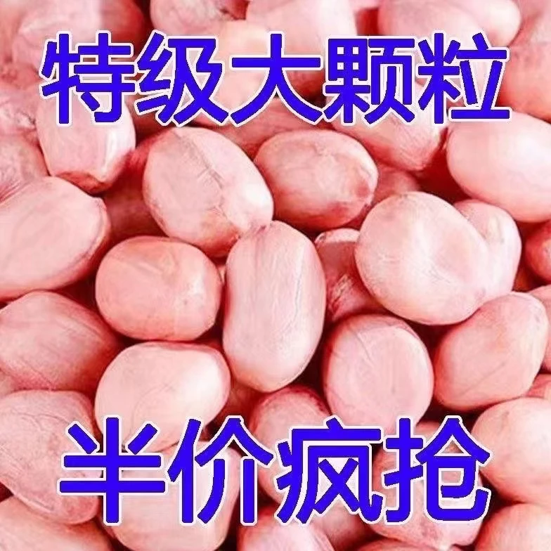 【10月新花生】新货精选无壳营养白沙花生米新鲜生花生米好吃美味