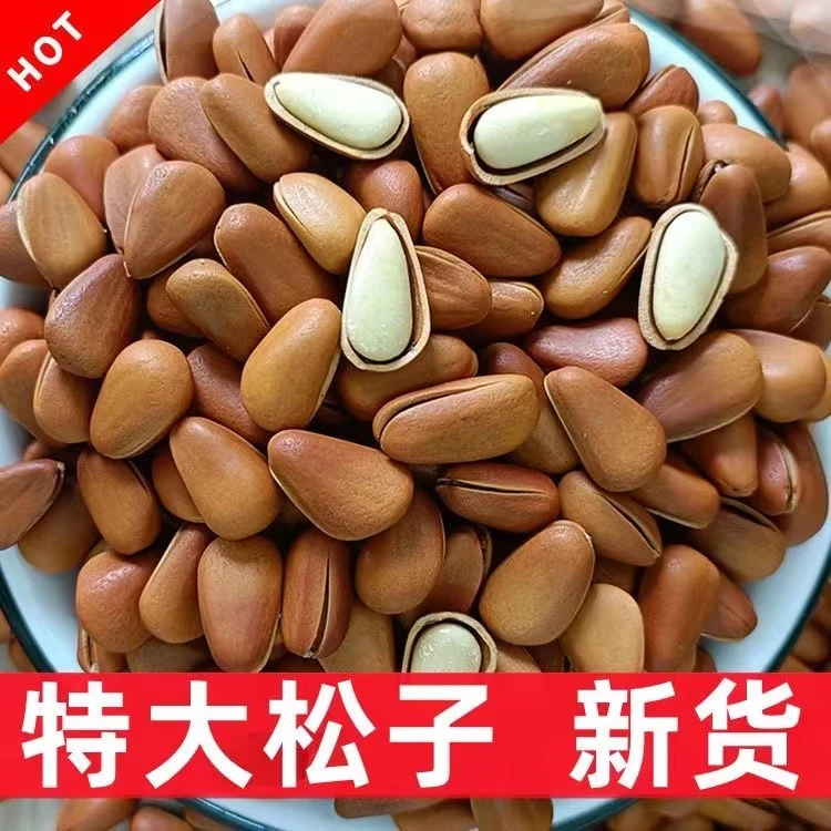 【半价活动中】新货东北开口松子大颗粒原味坚果松子解馋小零食批发