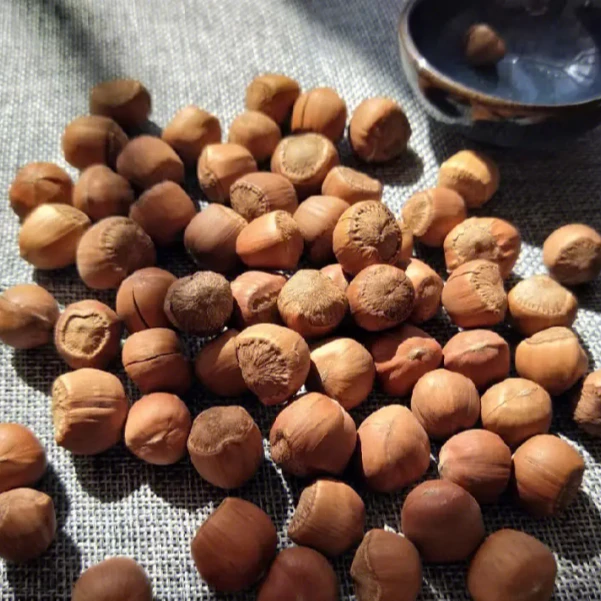 裕泰和美味榛子年货榛心榛意