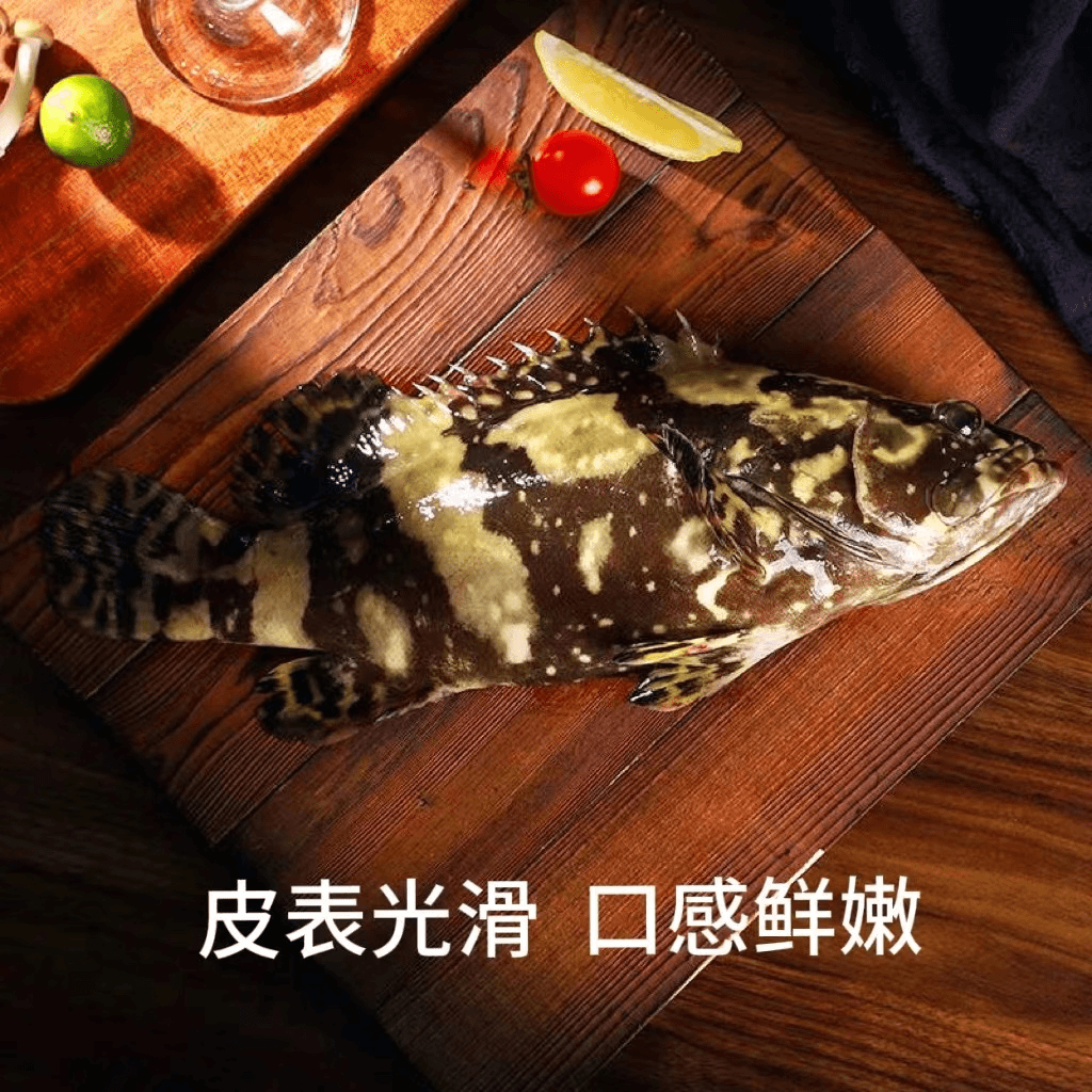 1.1斤-1.3斤/条 深海龙胆珍珠老虎石斑鱼 鲜活速冻锁鲜 顺丰发货