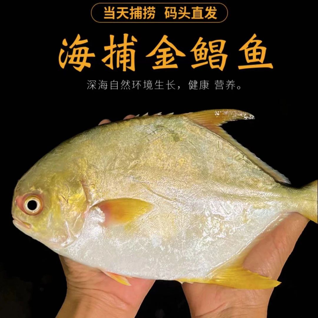 深海天然海捕捞金鲳鱼200g-250g/条 整条速冻锁鲜 顺丰冷链发货