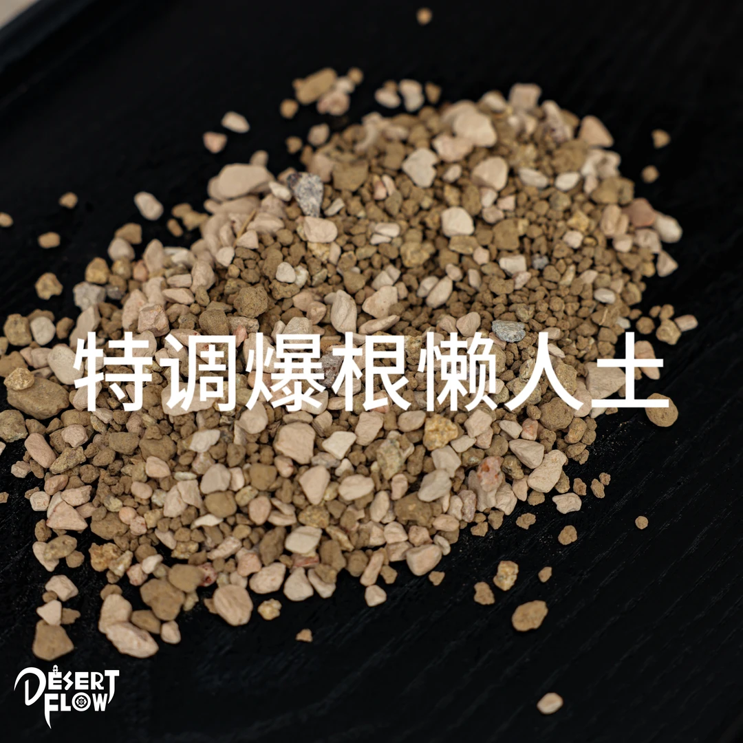 【特调营养土】营养特调土兜绿植专用