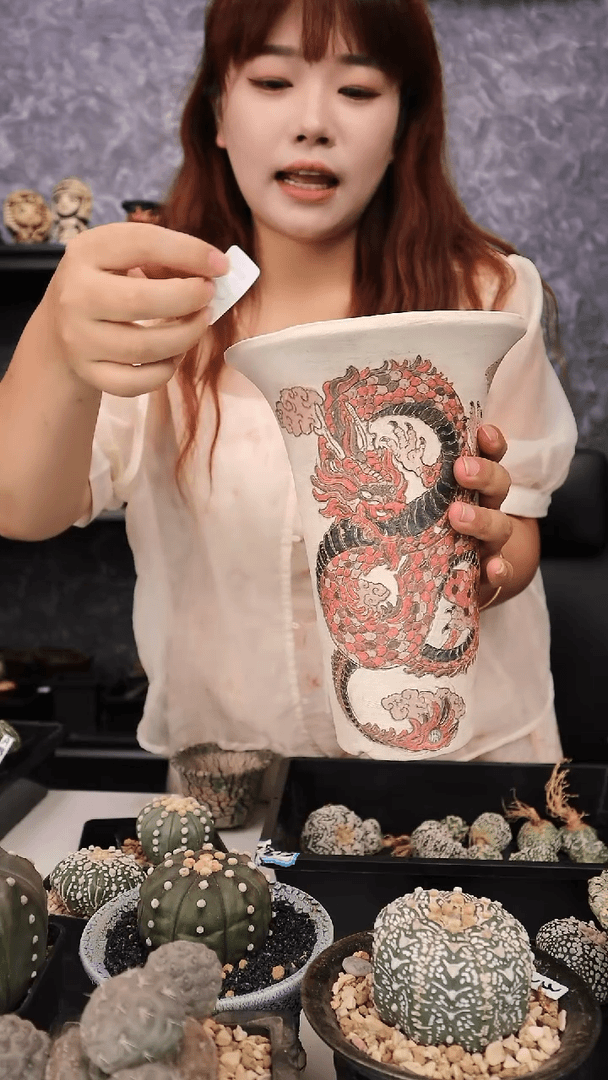 【闪购商品】编号601 盆