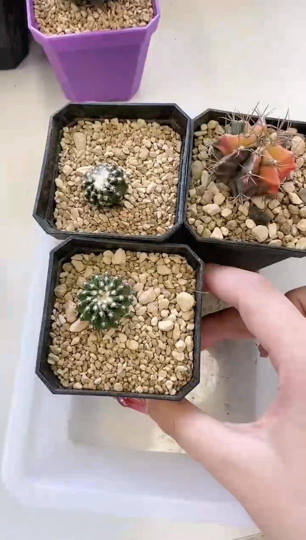【闪购商品】新手组合3组