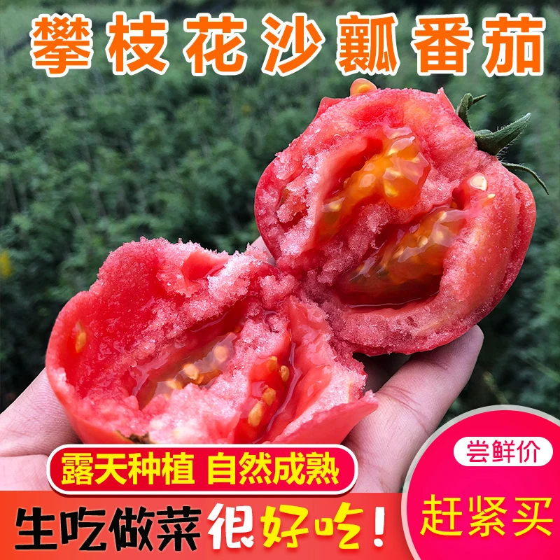 产地四川攀枝花露天沙瓤西红柿老品种3/5斤包邮露天种植酸甜可口