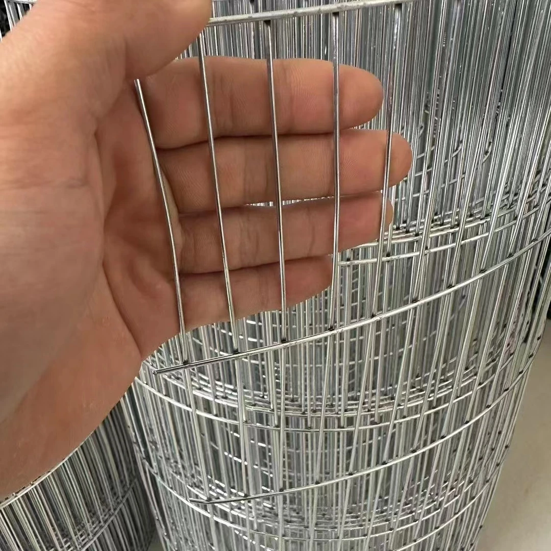防锈镀锌丝网耐用鸡鸭兔笼鹦鹉笼鹌鹑笼组装笼家用养殖铁丝网鹉笼