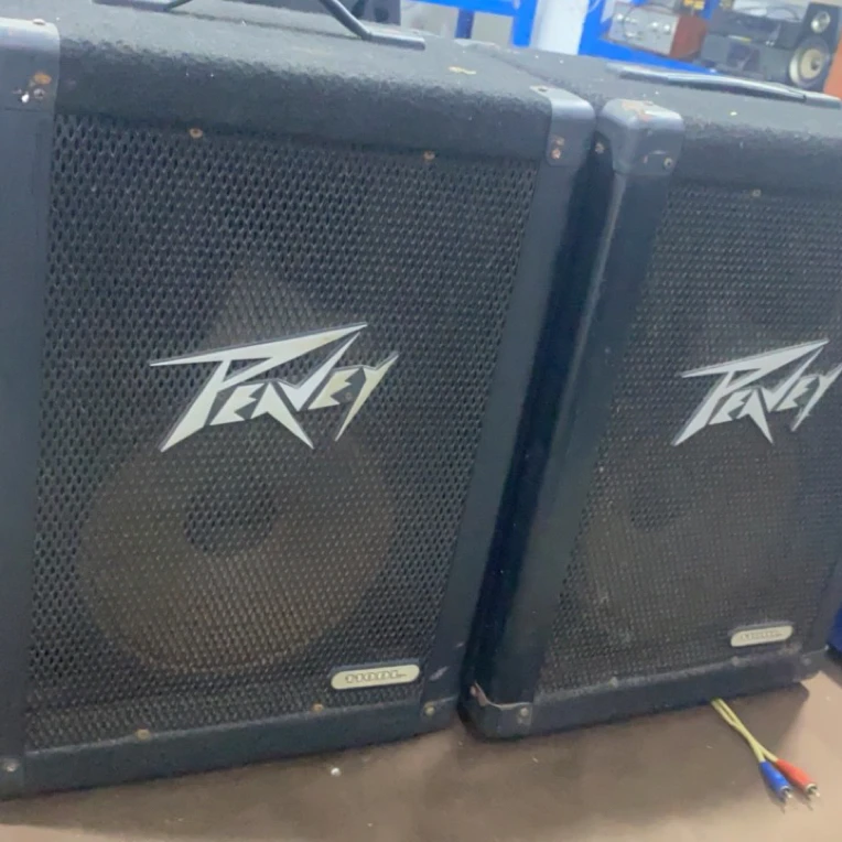 9新  bw一对音箱（老式插线口）10寸