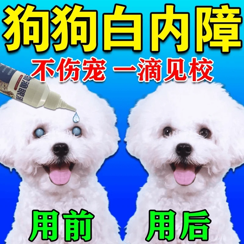 狗狗白内障专用滴眼液猫狗眼部问题宠物通用老年犬幼犬白内障眼水