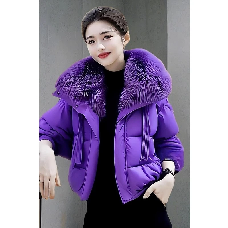 短款紫色棉服加厚轻薄保暖百搭外套2024冬季新款冬装气质棉衣棉袄