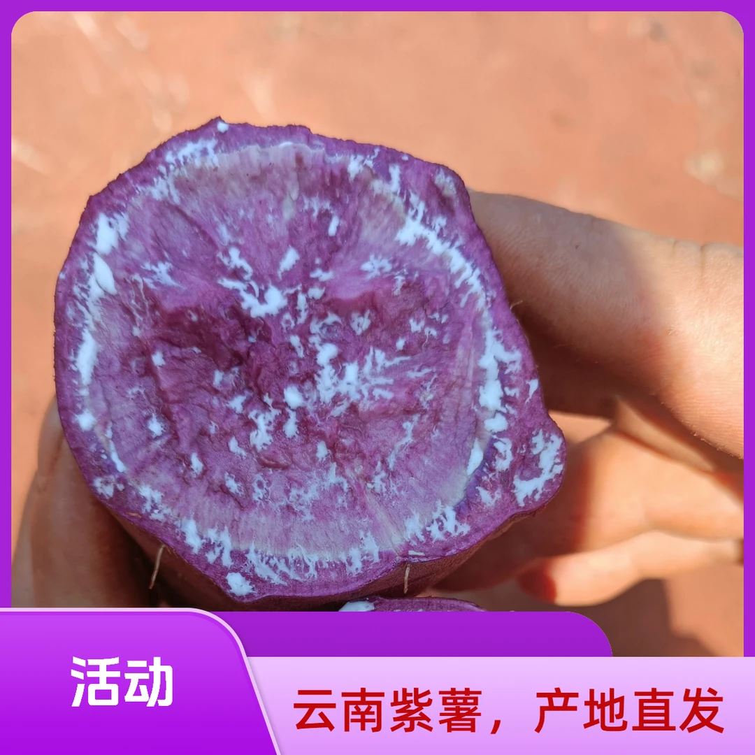 【活动】云南紫薯产地直发包邮