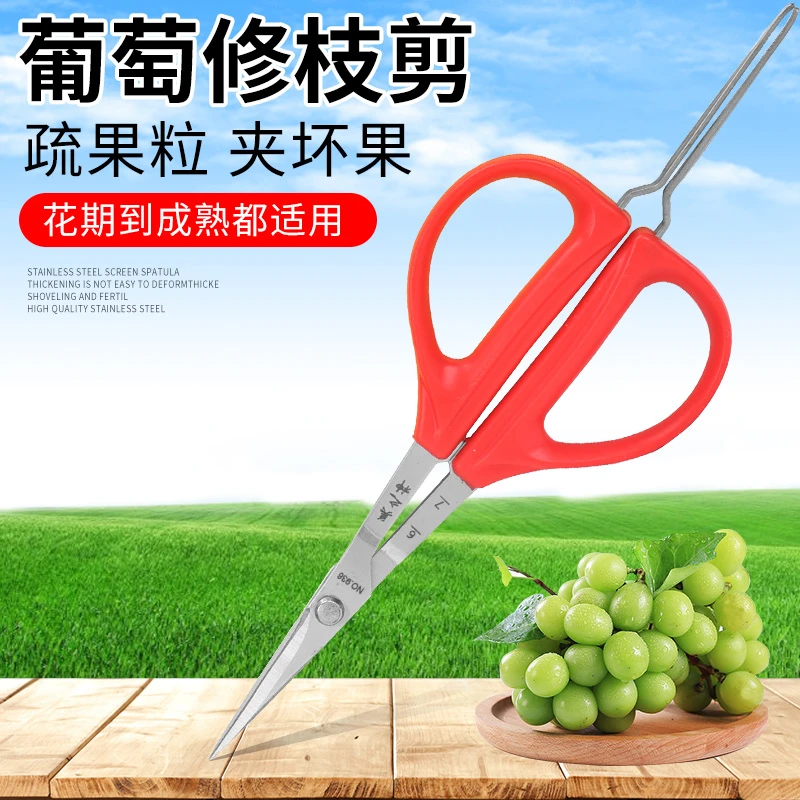 不锈钢稀果剪带镊子取坏果剪阳光玫瑰葡萄蔬果修剪蓝莓便携翘头剪