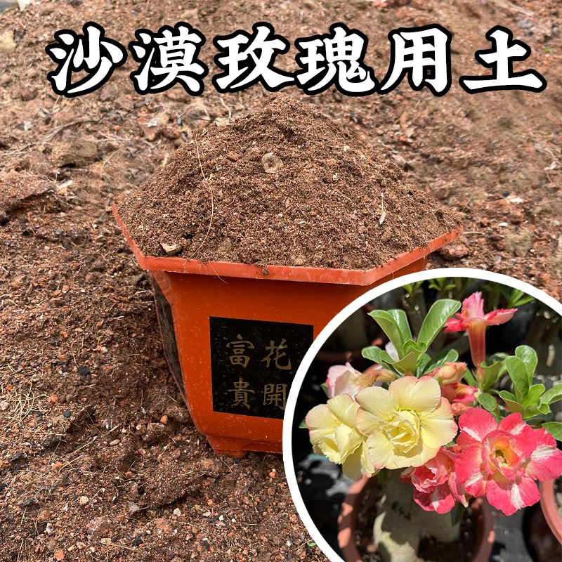 沙漠玫瑰专用土酥松透气煤炭土椰糠营养土多肉植物有机土2.8kg