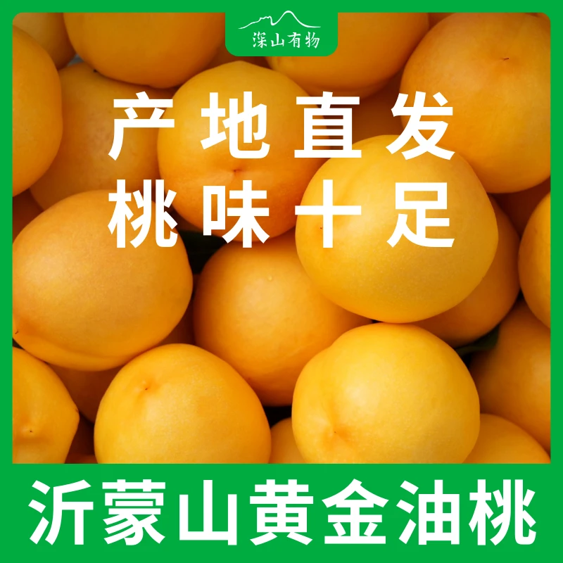 山东沂蒙山黄金油桃4-4.5斤脆甜多汁包邮