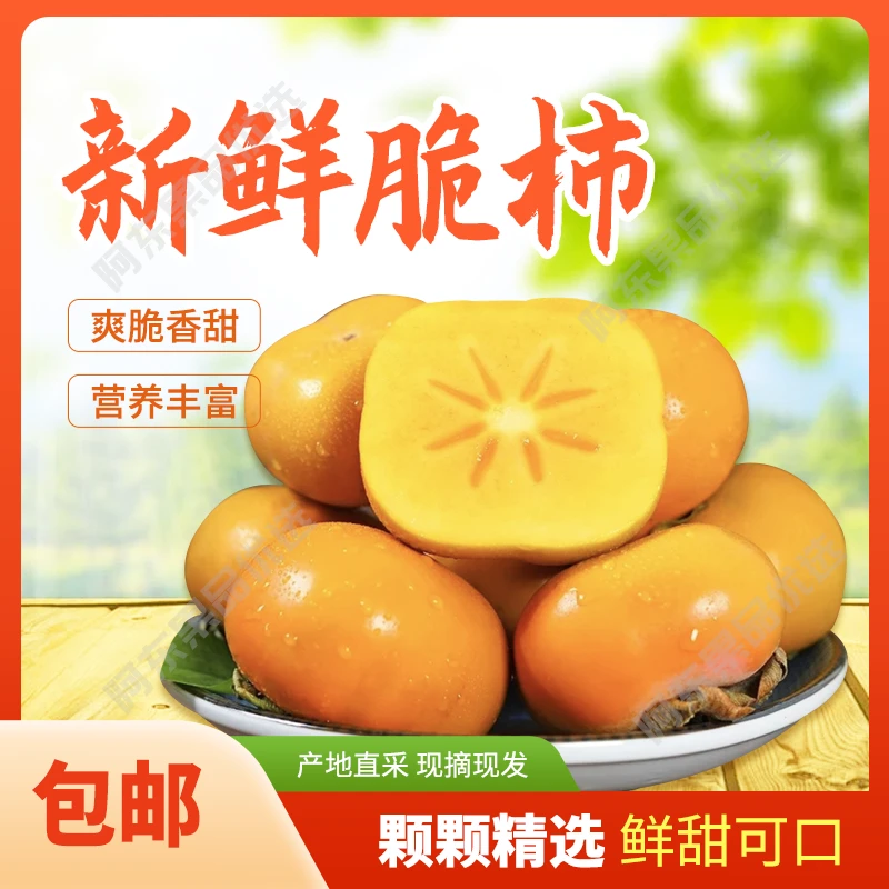 【头茬阳丰脆柿】农家采摘爽脆香甜箱装发货坏果包赔