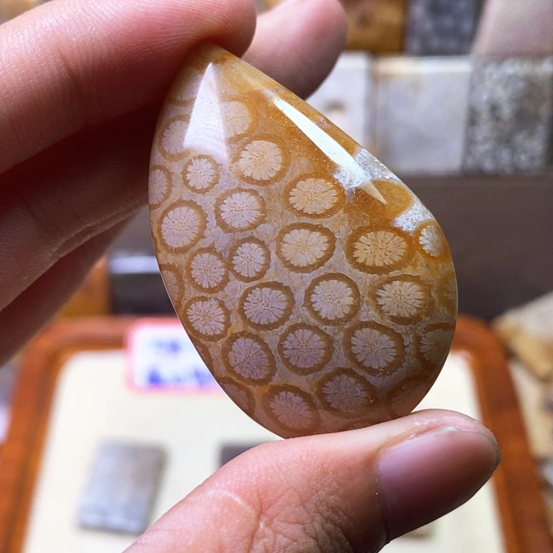 硅化珊瑚（珊瑚玉）方牌吊坠未镶嵌